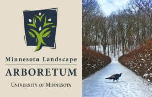 Minnesota Landscape Arboretum