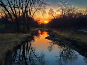 Earth Day 1st Place winner!