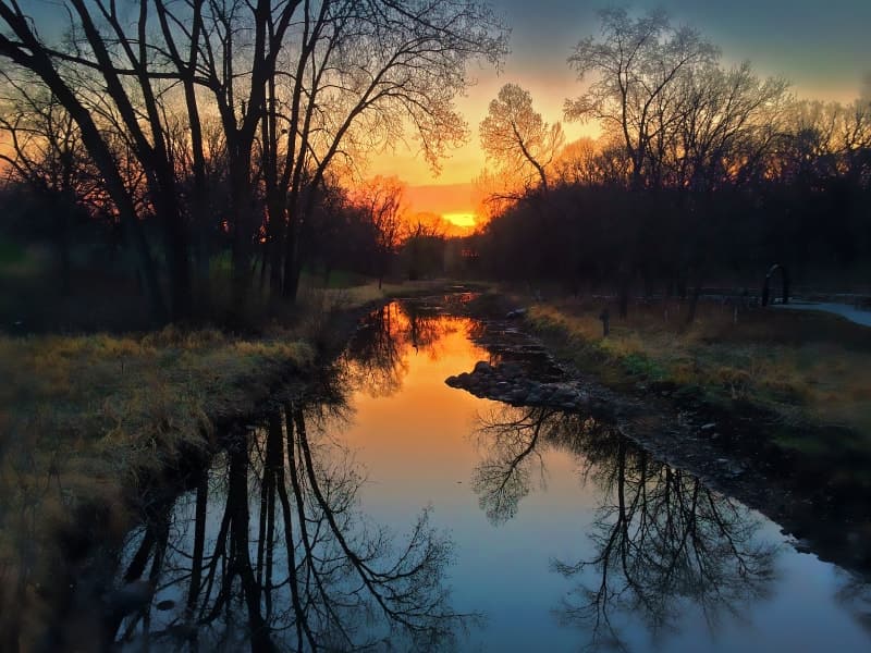 Earth Day 1st Place winner!