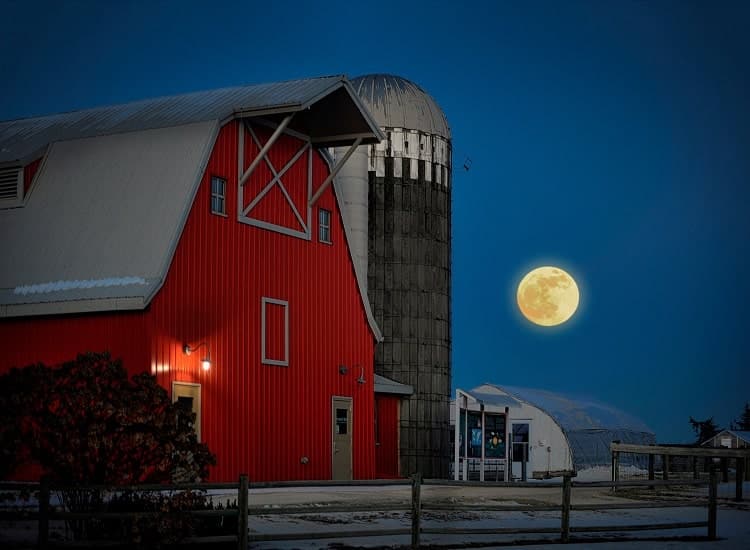 Gale Woods Farm Scene