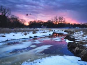 2018 Earth Day Contest Winner