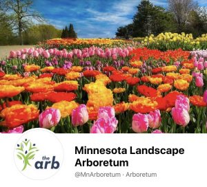 Read more about the article Minnesota Landscape Arboretum Facebook Covers