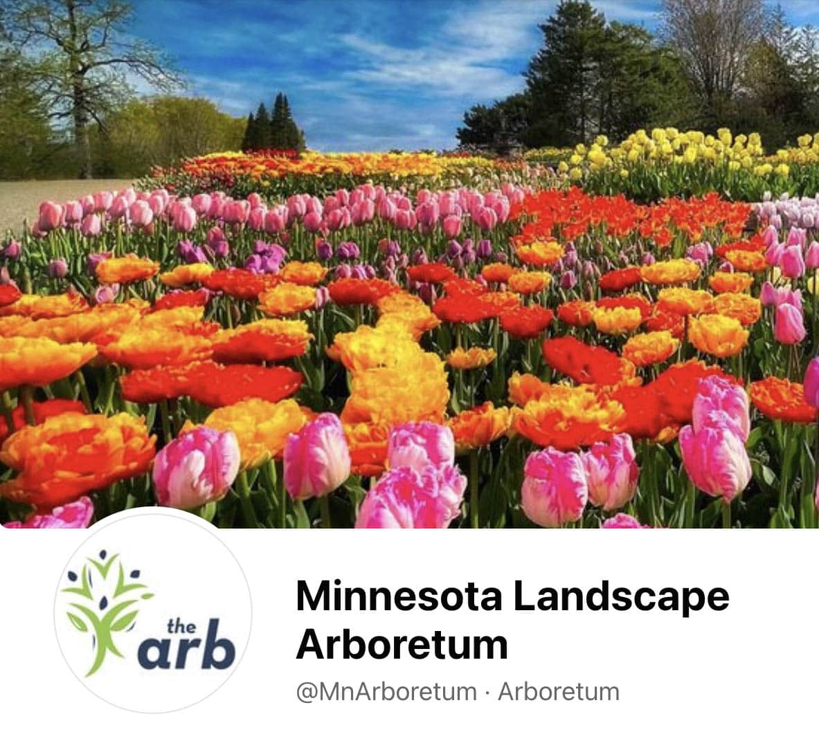 You are currently viewing Minnesota Landscape Arboretum Facebook Covers