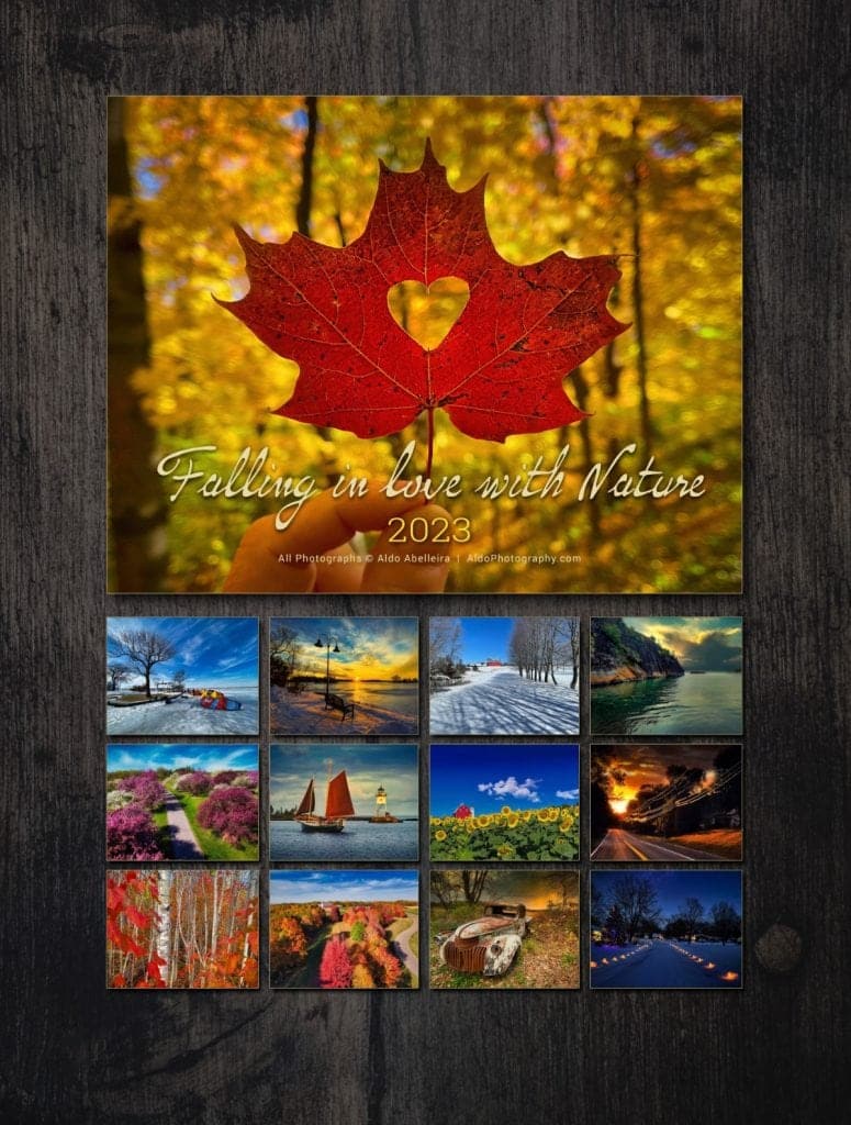 "Falling in Love with Nature"